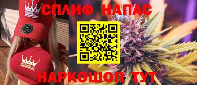 дживик Тверь