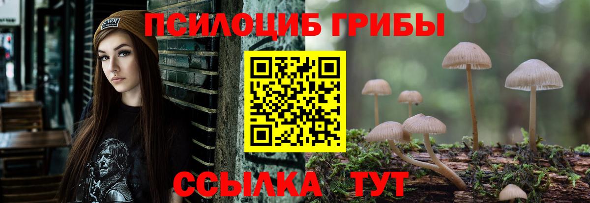 Псилоцибиновые грибы Magic Shrooms Осинники