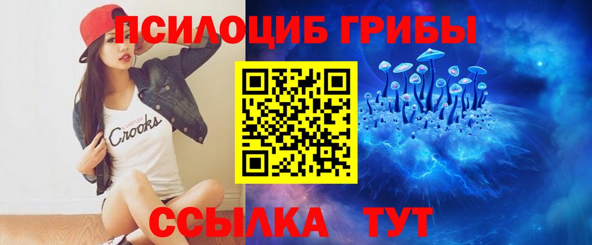 Галлюциногенные грибы Psilocybine cubensis  Вход с VPN  Осинники 
